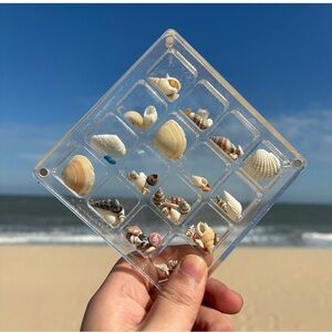 Clear Resin Shell Display
